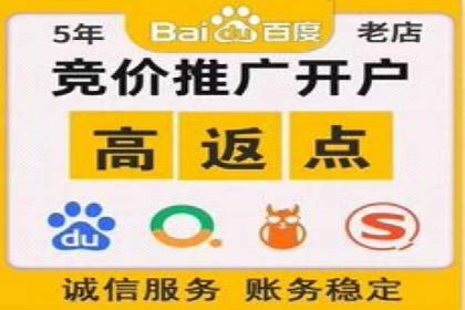 案例研究：如何通过竞价广告实现精准营销